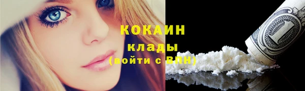 СК Медвежьегорск